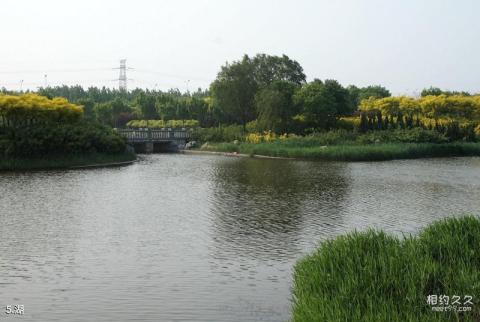 天津临港生态湿地公园旅游攻略 之 湖