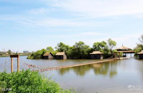 哈尔滨金河湾湿地植物园旅游攻略 之 六洲