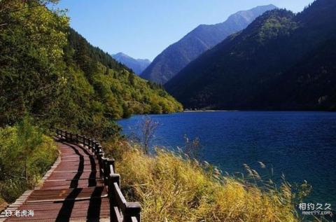 四川九寨沟旅游攻略 之 老虎海