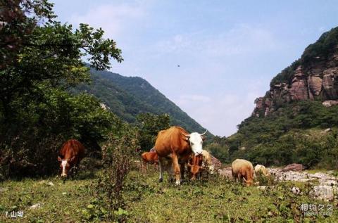 沁水示范牧场旅游攻略 之 山坳