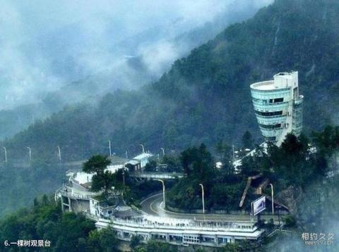 重庆南山植物园旅游攻略 之 一棵树观景台