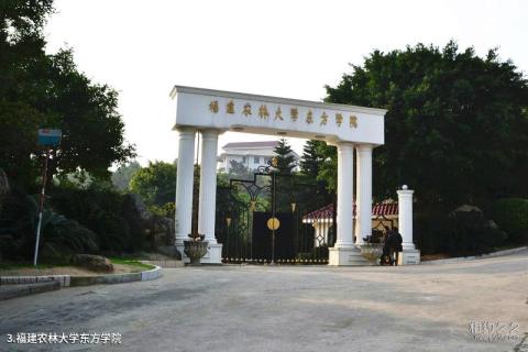 琅岐岛景区旅游攻略 之 福建农林大学东方学院