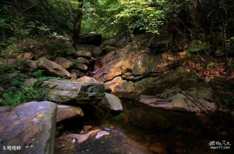 广水中华山森林公园旅游攻略 之 哈哈岭