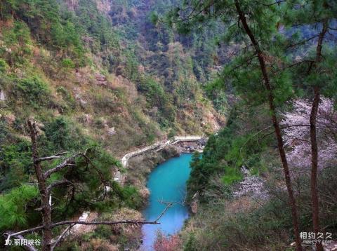 丽水白云山森林公园旅游攻略 之 丽阳峡谷