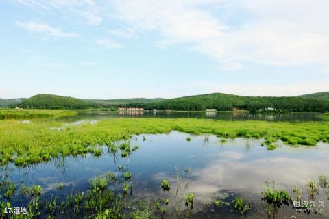 密山铁西森林公园旅游攻略 之 湿地