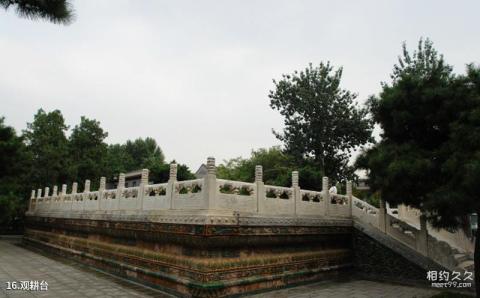 中国古代建筑博物馆旅游攻略 之 观耕台
