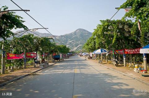 平度大泽山风景区旅游攻略 之 风景