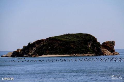 大连海王九岛旅游攻略 之 神龟探海