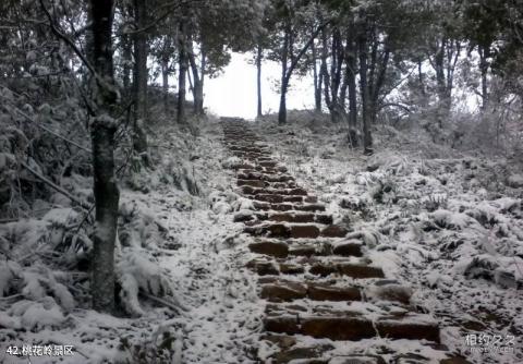 岳麓山风景名胜区旅游攻略 之 桃花岭景区