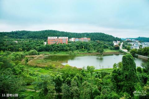 绵阳仙海旅游景区旅游攻略 之 湿地公园