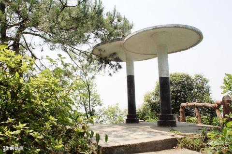 武冈法相岩—云山风景区旅游攻略 之 蘑菇亭