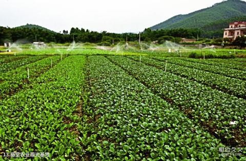 佛山皂幕山旅游风景区旅游攻略 之 丽堂农业观光基地