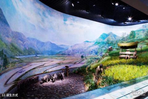 海南省博物馆旅游攻略 之 谋生方式