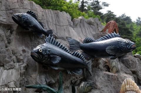 大连海之韵公园旅游攻略 之 海洋生物雕塑