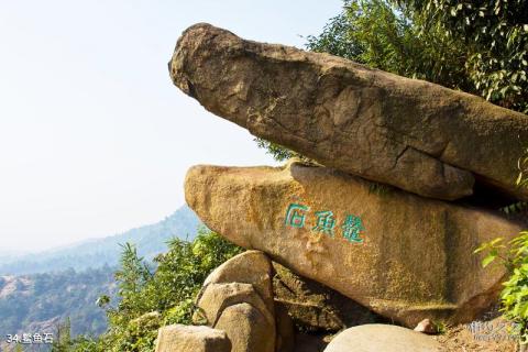 苏州天平山风景区旅游攻略 之 鳖鱼石