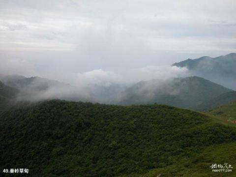 西安翠华山旅游风景区旅游攻略 之 秦岭草甸