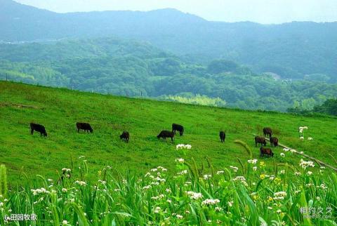 川西高寒草原旅游攻略 之 田园牧歌