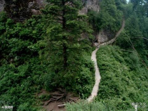 临夏松鸣岩旅游攻略 之 独岗岭