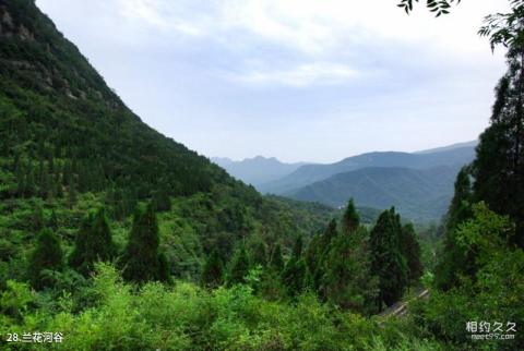 荥阳环翠峪风景区旅游攻略 之 兰花河谷