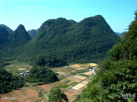 荔波茂兰喀斯特森林旅游攻略 之 甲乙田园