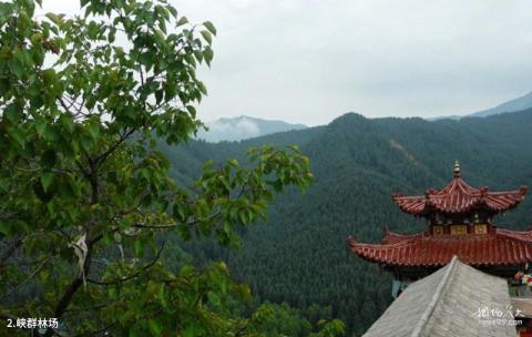 青海峡群寺森林公园旅游攻略 之 峡群林场