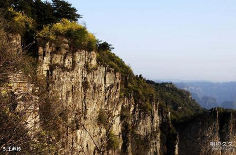 陵川棋子山旅游攻略 之 王莽岭