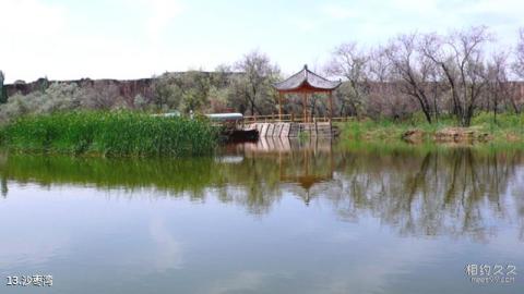 宁夏水洞沟旅游区旅游攻略 之 沙枣湾