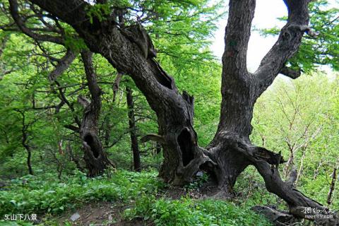 北京白草畔自然风景区旅游攻略 之 山下八景