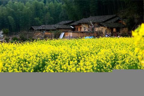 三明君子峰国家级自然保护区旅游攻略 之 民俗风情