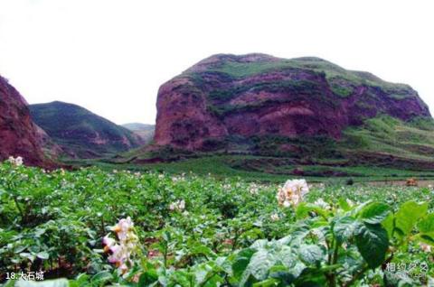 宁夏西吉火石寨国家地质公园旅游攻略 之 大石城