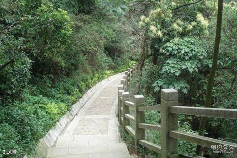 莲花玉壶山风景区旅游攻略 之 风景