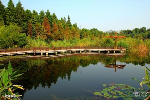 上海吴淞炮台湾国家湿地公园旅游攻略 之 镜湖映影