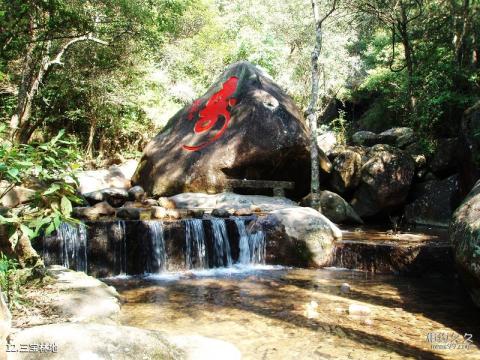 南平华阳山风景区旅游攻略 之 三宝林地