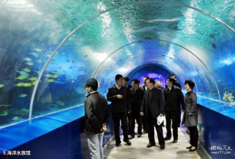 盐城大丰港海洋世界旅游攻略 之 海洋水族馆