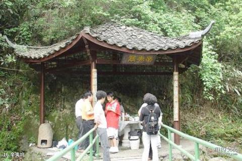 杭州神龙川风景旅游度假区旅游攻略 之 辛夷坞