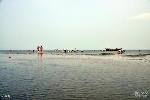 大连夏家河子海滨公园旅游攻略 之 大海