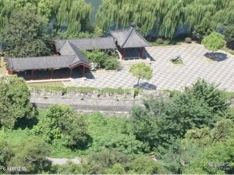 娄底新化狮子山公园旅游攻略 之 绿树成荫