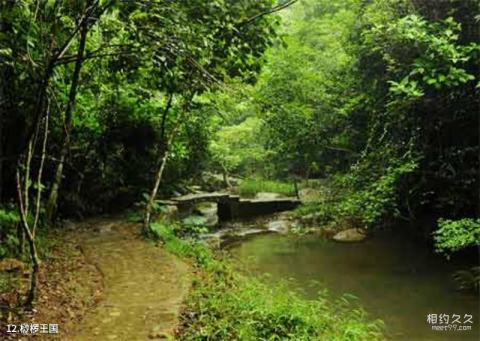 肇庆鼎湖山风景区旅游攻略 之 桫椤王国