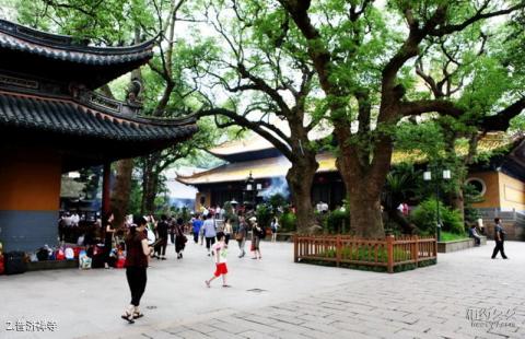 普陀山风景名胜区旅游攻略 之 普济禅寺