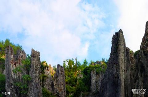 铜仁思南温泉石林景区旅游攻略 之 石峰