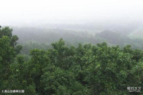 彰武高山台风景区旅游攻略 之 高山台森林公园