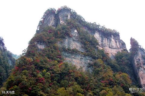 四川光雾山旅游攻略 之 天马恋