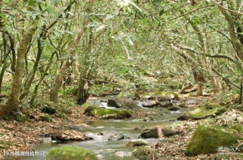 肇庆鼎湖山风景区旅游攻略 之 珍稀濒危植物园