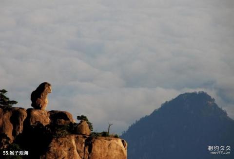 黄山风景区旅游攻略 之 猴子观海