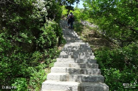 大连金龙寺国家森林公园旅游攻略 之 高山千阶