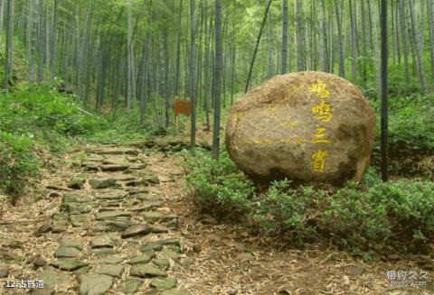 天目湖南山竹海景区旅游攻略 之 古官道