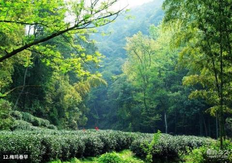 杭州西湖风景名胜区旅游攻略 之 梅坞春早