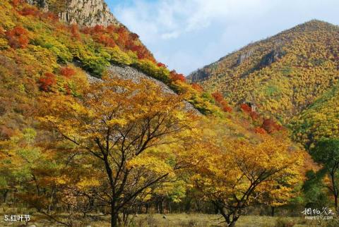 河北黑龙山国家森林公园旅游攻略 之 红叶节