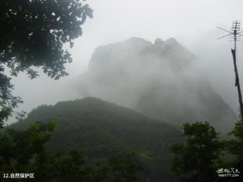 夏津黄河故道森林公园旅游攻略 之 自然保护区