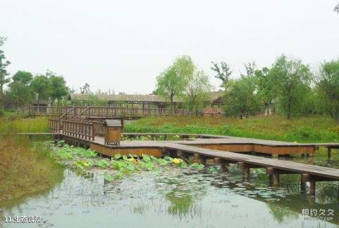 苏州太湖国家湿地公园旅游攻略 之 生态景观